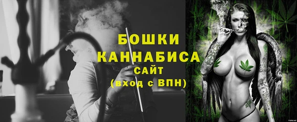 индика Одинцово