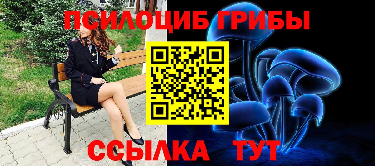 Галлюциногенные грибы мицелий Архангельск