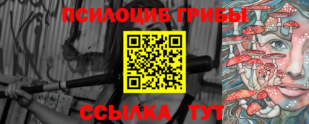 Архангельск  Псилоцибиновые грибы Psilocybine cubensis  Вход с VPN 